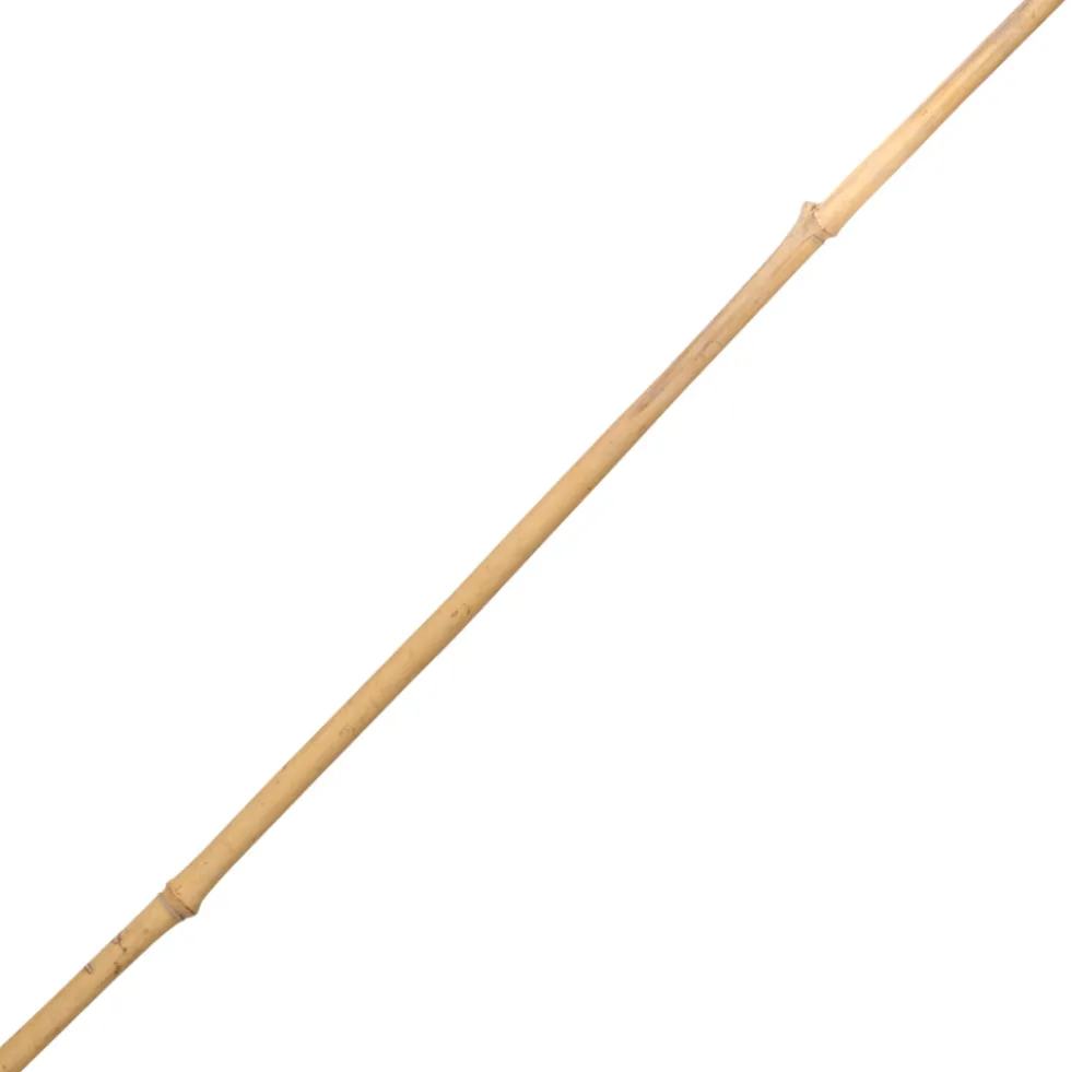 Tonkinstab 120 cm aus Bambus