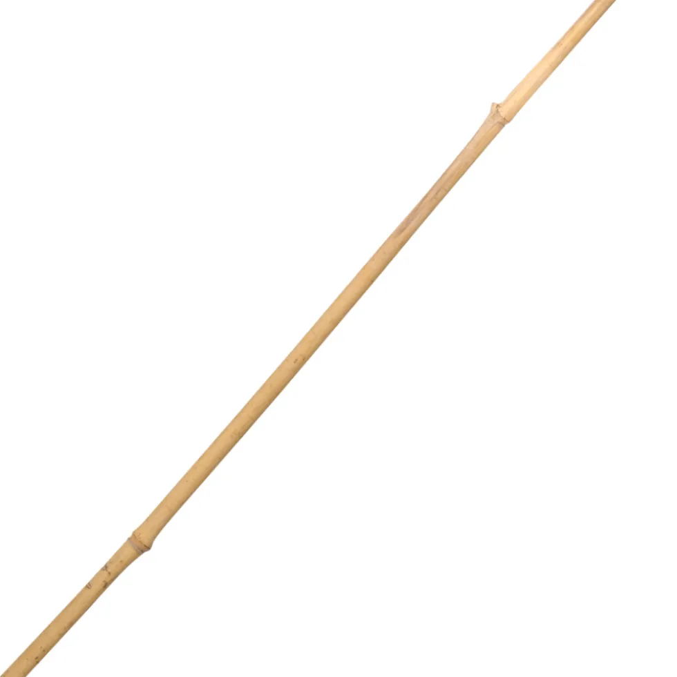 Tonkinstab 90 cm aus Bambus