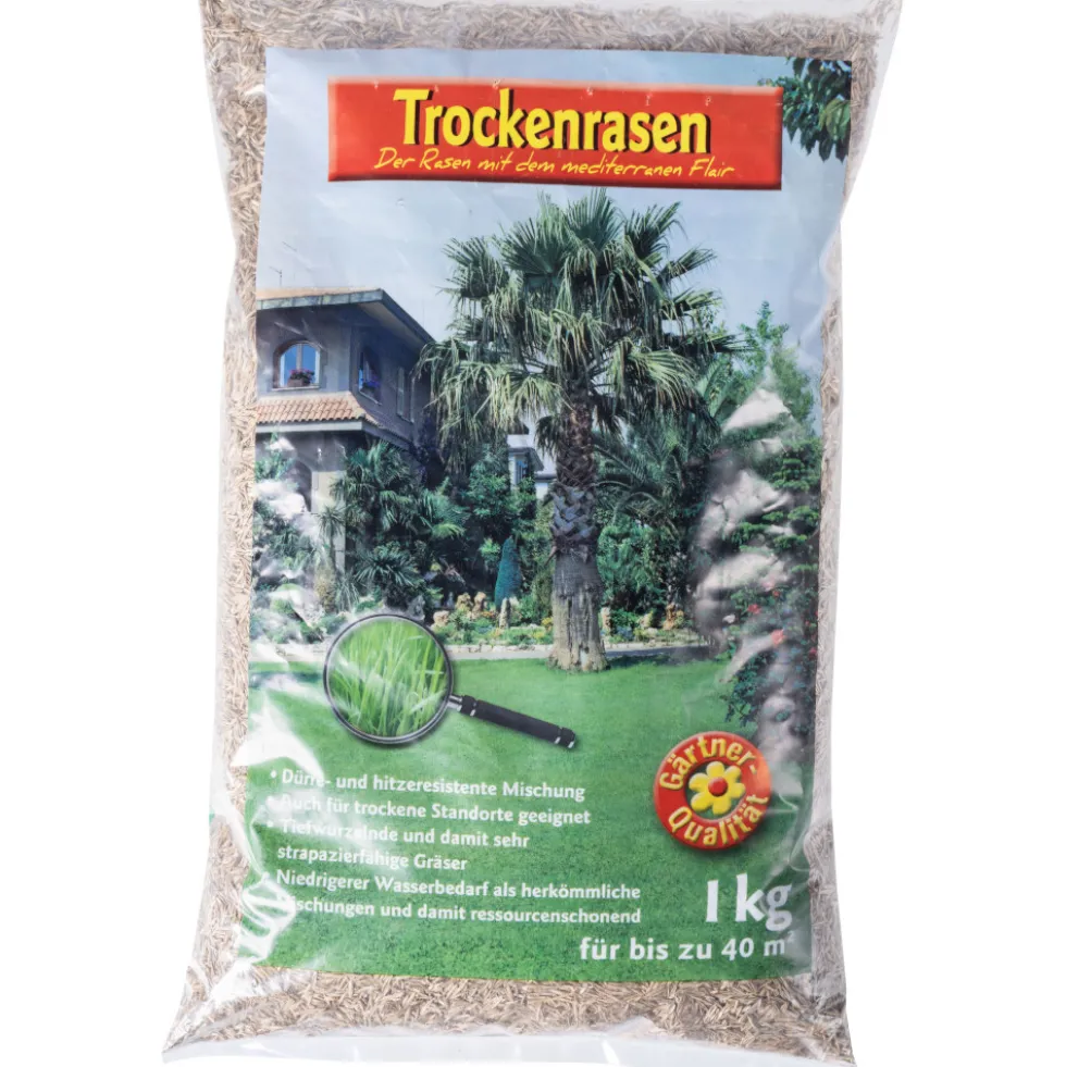 Trockenrasen Samen 1 kg 40m²