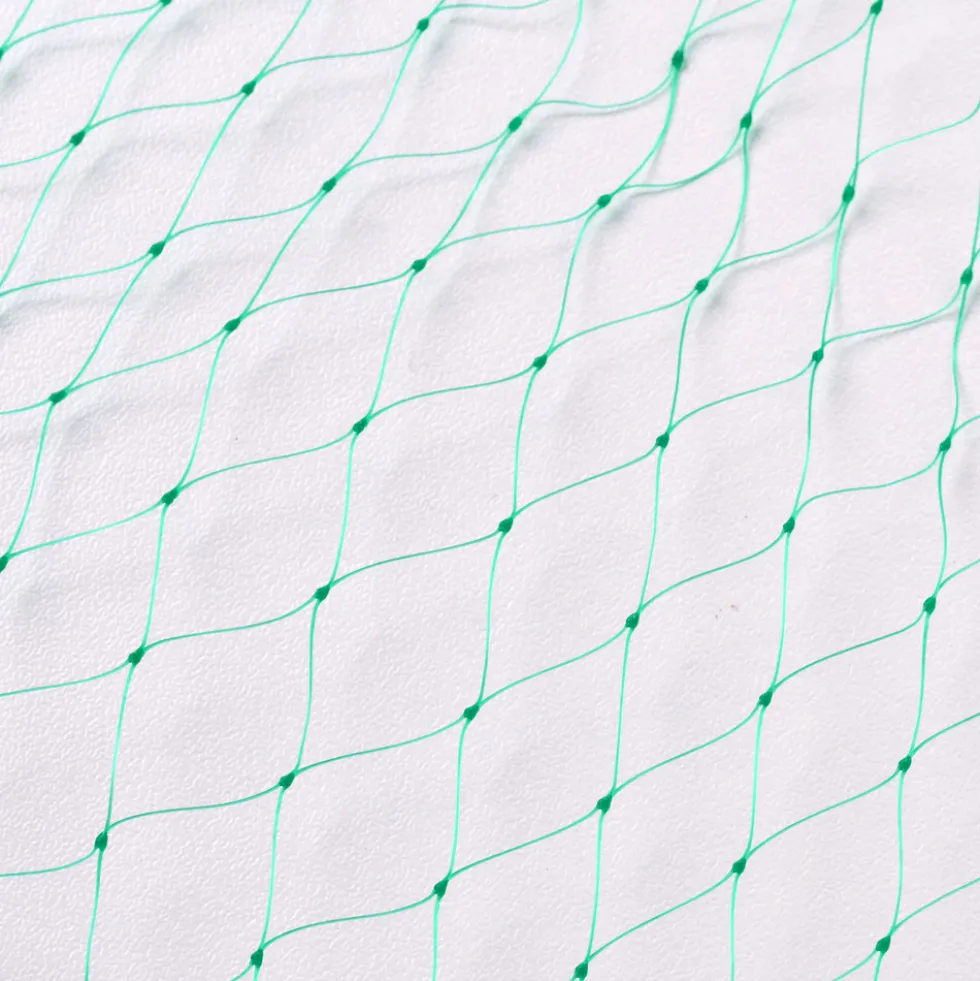 Vogel- oder Laubschutznetz 10 x 2 m aus HDPE