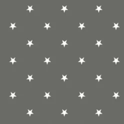 Wachstuch 1,40m Star grau/weiß