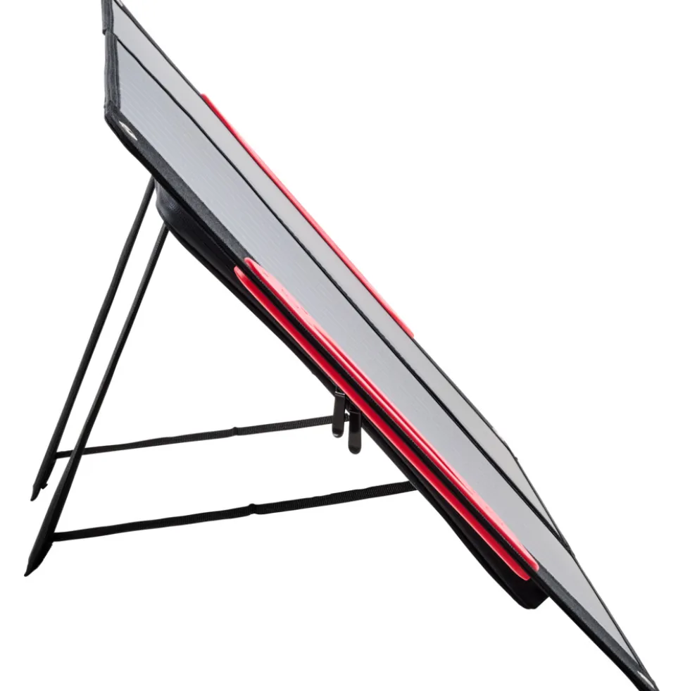 WALTER Solarpanel 60 W, faltbar