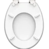 WC-Sitz MDF mit Absenkautomatik High Gloss Motiv Asia