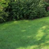 WESTLAND Saatgut Trocken- und Schattenrasen 1,0 kg