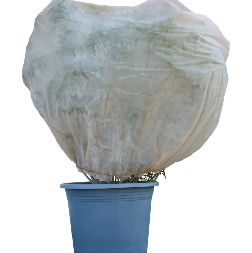Winterschutzvlies 5x1,5m beige